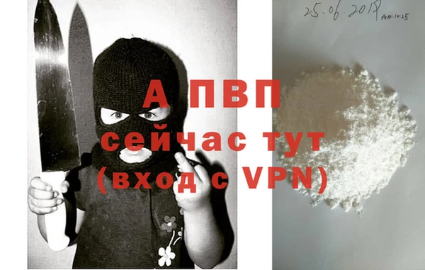 стаф Нефтекумск