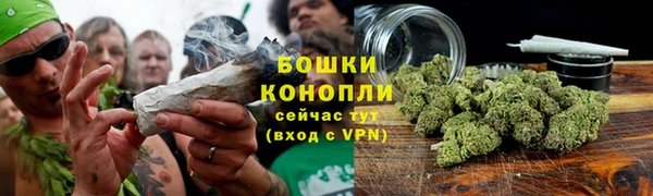 стаф Нефтекумск