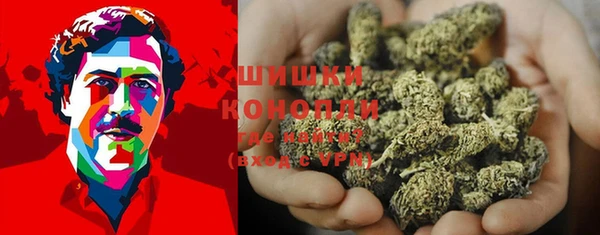 стаф Нефтекумск
